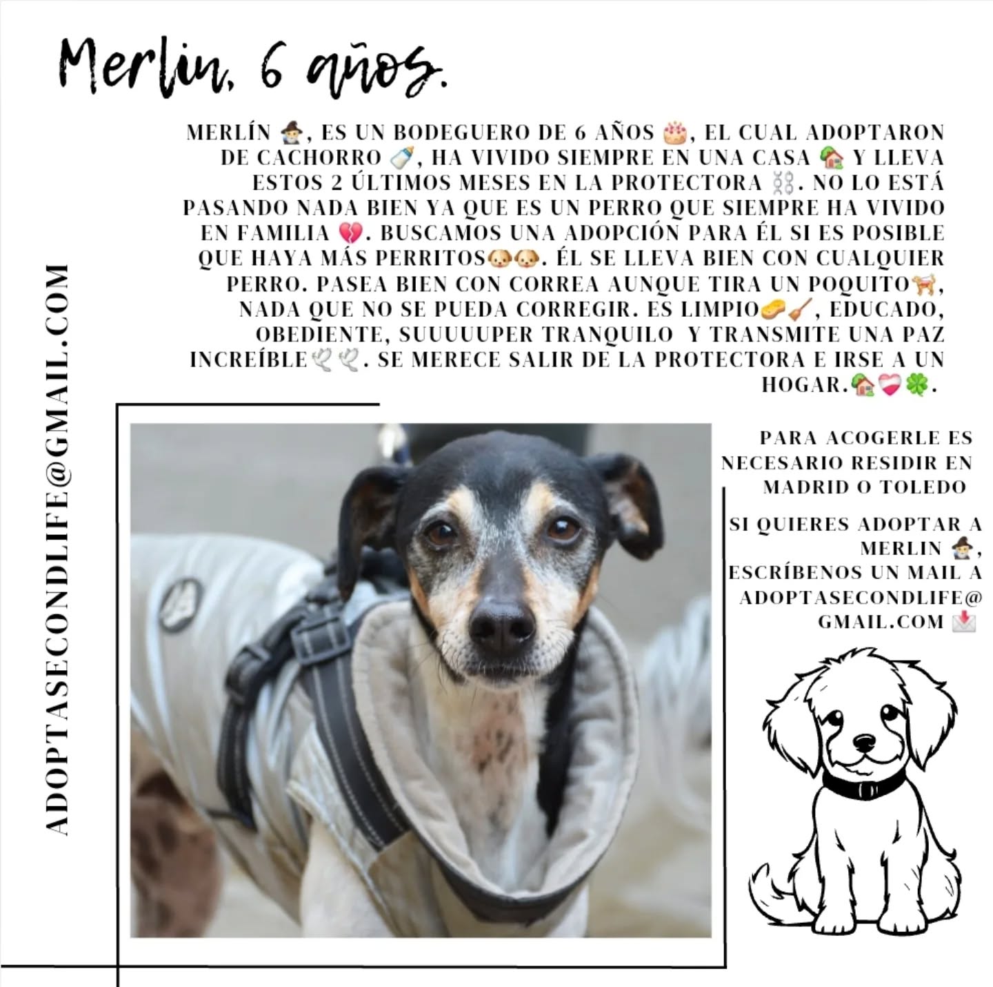 Foto de un Perro Mestizo en adopción en Toledo